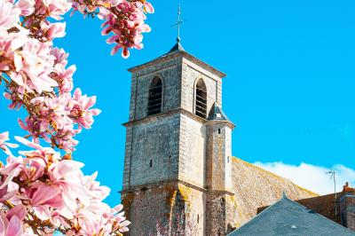 Clocher en pierre d'une église entouré de magnolias en fleurs sous un ciel bleu.