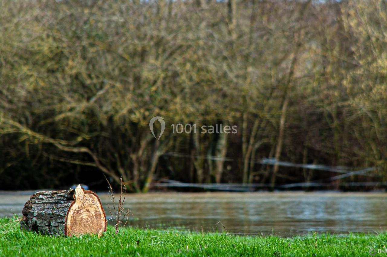 Tronc d'arbre coupé posé sur une pelouse verte près d'une rivière, avec des arbres nus en arrière-plan.