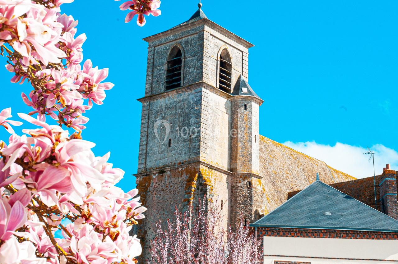 Clocher en pierre d'une église entouré de magnolias en fleurs sous un ciel bleu.