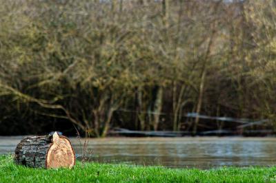 Un enfant souriant en t-shirt blanc pose avec une main sous le menton sur un fond clair.