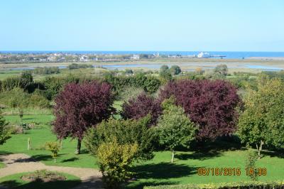 Alignement d'arbres taillés devant un bâtiment en pierre avec des fenêtres et des portes visibles.