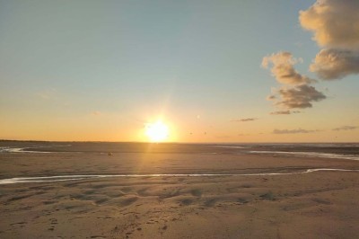 Table en bois rustique dressée pour un repas, avec vaisselle fleurie, bougies, rondins de bois et chemin de table vert.