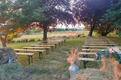 Table en bois rustique dressée pour un repas, avec vaisselle fleurie, bougies, rondins de bois et chemin de table vert.