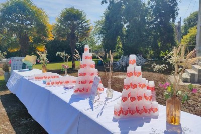 Table en bois rustique dressée pour un repas, avec vaisselle fleurie, bougies, rondins de bois et chemin de table vert.