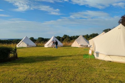 Table en bois rustique dressée pour un repas, avec vaisselle fleurie, bougies, rondins de bois et chemin de table vert.