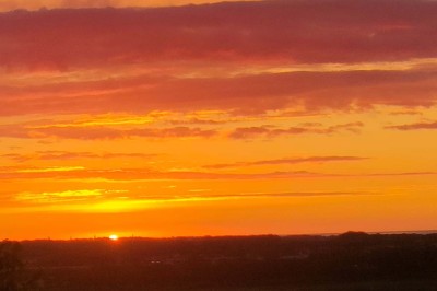 Table en bois rustique dressée pour un repas, avec vaisselle fleurie, bougies, rondins de bois et chemin de table vert.