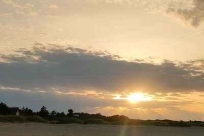 Table en bois rustique dressée pour un repas, avec vaisselle fleurie, bougies, rondins de bois et chemin de table vert.