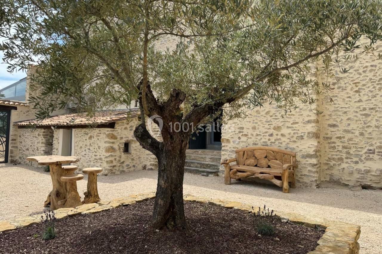 Cour en pierre avec un olivier central, banc en bois sculpté et table rustique devant une maison en pierre.