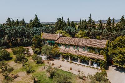 Vue d'une chambre cosy avec lit, éclairage doux, rideaux verts et table extérieure ornée de plantes et d'une tasse.