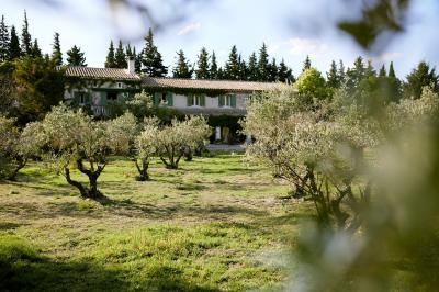 Vue d'une chambre cosy avec lit, éclairage doux, rideaux verts et table extérieure ornée de plantes et d'une tasse.