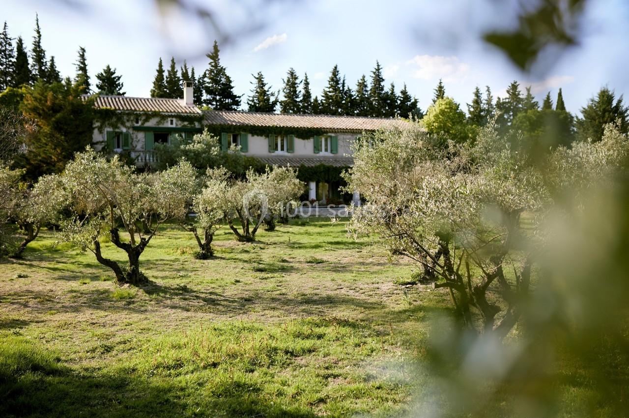 Maison provençale entourée d'oliviers, avec des arbres en arrière-plan sous un ciel partiellement dégagé.
