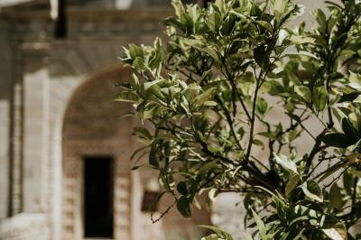 Location salle Mervent (Vendée) - Château de la Citardière #33