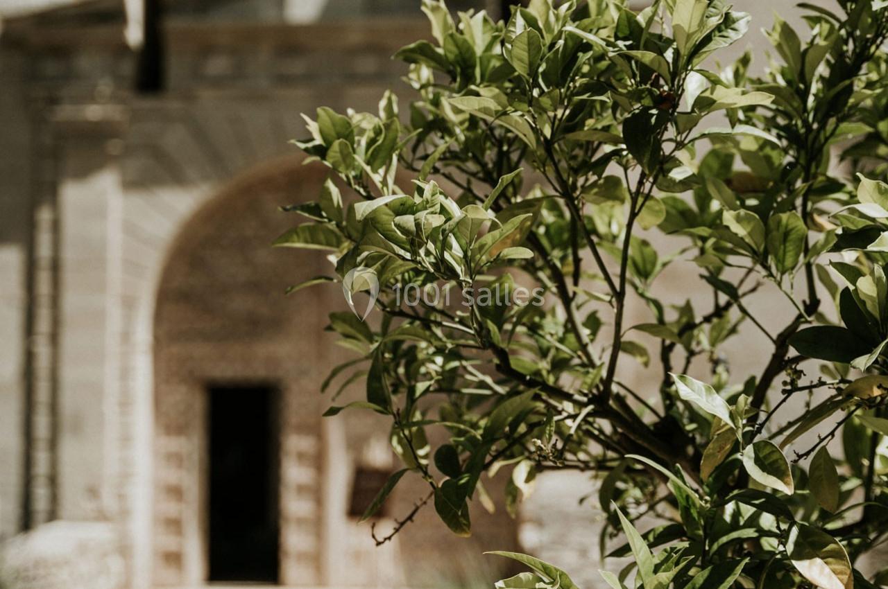 Location salle Mervent (Vendée) - Château de la Citardière #19