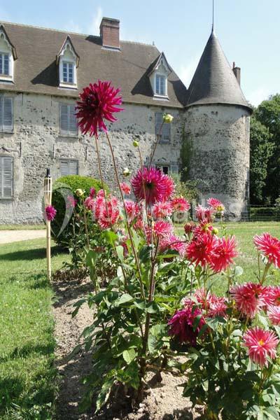 Location salle Lavault-Sainte-Anne (Allier) - Domaine De Bisseret #3