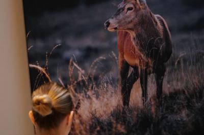 Miniature Location salle Lierneux (Liège) - Le Domaine de Bra #25 Location salle Lierneux (Liège) - Le Domaine de Bra #31