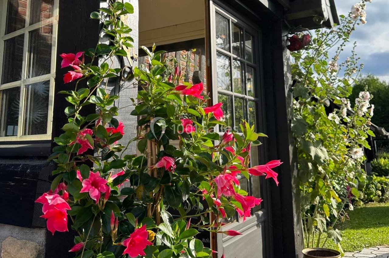 Plante grimpante aux fleurs roses vives poussant près d'une porte vitrée d'une maison en bois, sous un ciel dégagé.