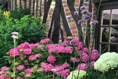 Plan d'un établissement avec terrasse, restaurant, bar, piste de danse, cuisine, véranda et espaces annexes.