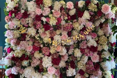 Plan d'un établissement avec terrasse, restaurant, bar, piste de danse, cuisine, véranda et espaces annexes.