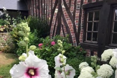 Plan d'un établissement avec terrasse, restaurant, bar, piste de danse, cuisine, véranda et espaces annexes.