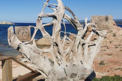 Location salle Bonifacio (Corse-du-Sud) - Le Goéland Beach #12