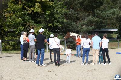 Cheval beige franchissant un obstacle en mousse verte dans un manège, tenu en longe par une personne.