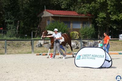 Cheval beige franchissant un obstacle en mousse verte dans un manège, tenu en longe par une personne.