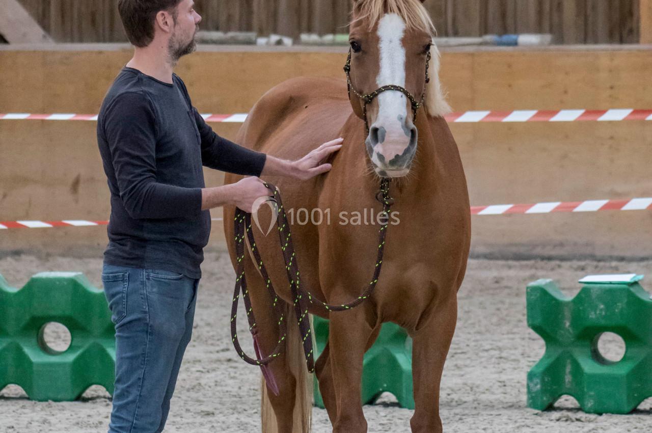 Un homme tient un cheval alezan en licol dans un manège intérieur avec des obstacles en arrière-plan.