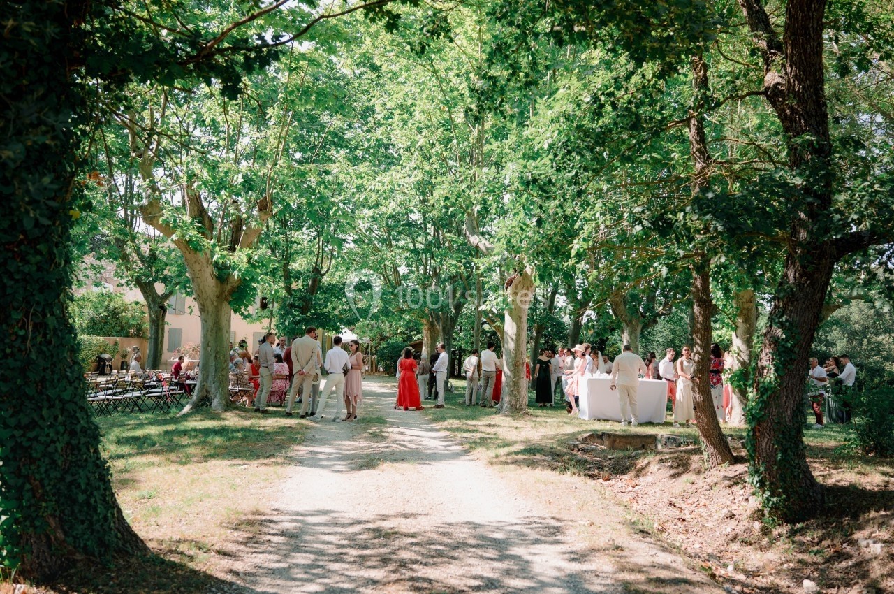 Groupe de personnes rassemblées dans un jardin ombragé, entouré d'arbres, lors d'un événement en plein air.