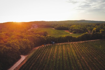 Location salle Rognes (Bouches-du-Rhône) - Château Barbebelle #42