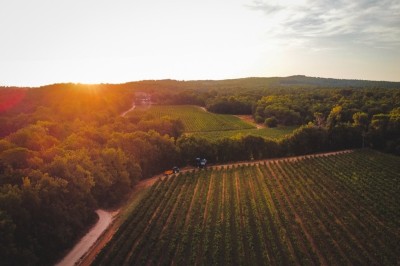 Location salle Rognes (Bouches-du-Rhône) - Château Barbebelle #42