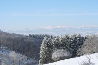 Location salle Saint-Quentin-sur-Sauxillanges (Puy-de-Dôme) - Goulapie #17