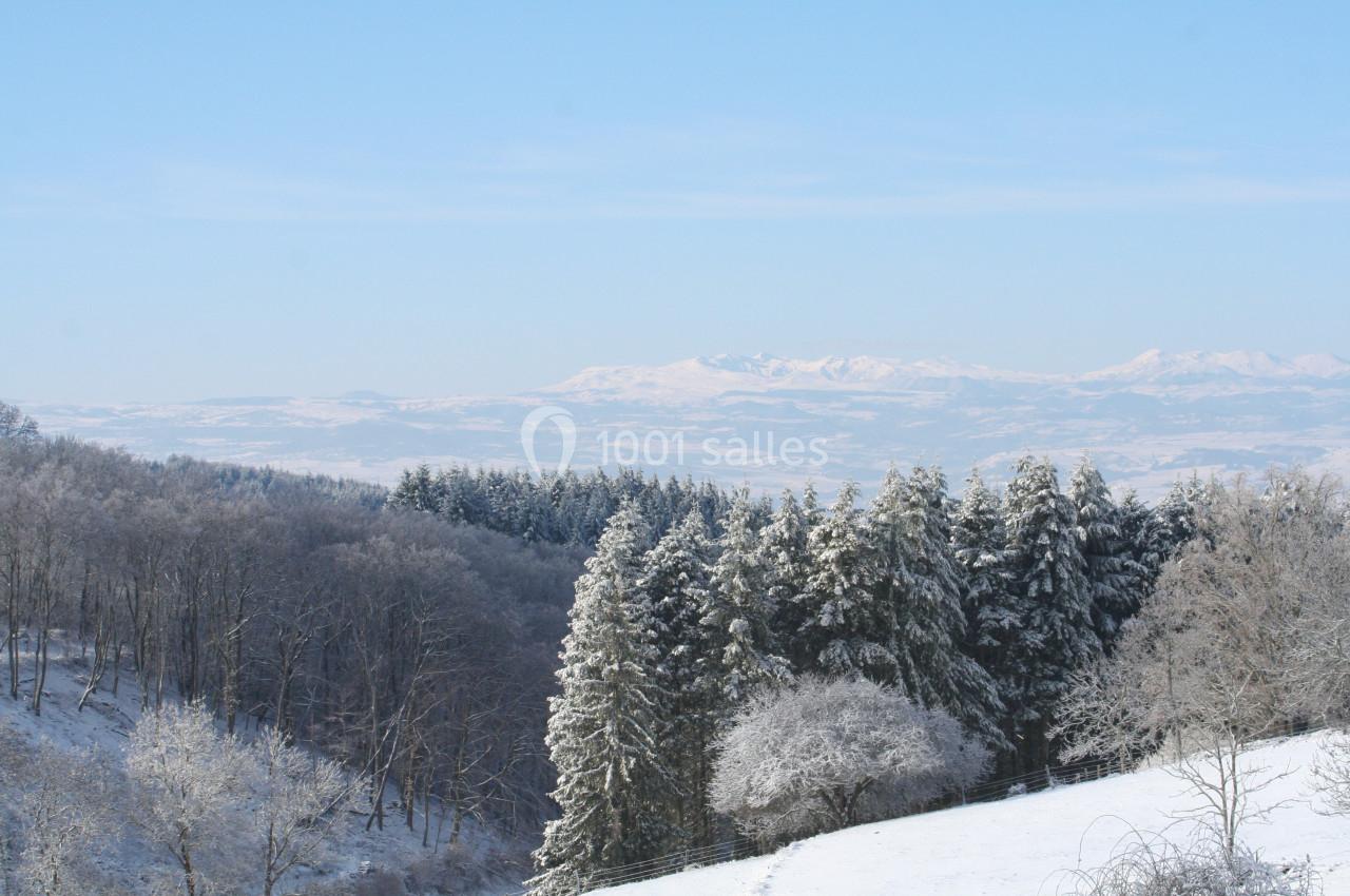 Paysage hivernal avec forêt enneigée au premier plan et montagnes sous un ciel bleu en arrière-plan.