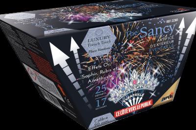 Boîte de feux d'artifice avec illustrations de gerbes colorées et mentions ’100% feu’ et ’25 départs’.
