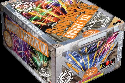 Boîte de feux d'artifice avec illustrations de gerbes colorées et mentions ’100% feu’ et ’25 départs’.