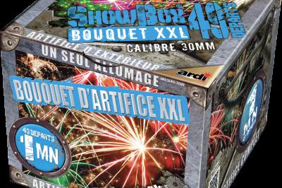 Boîte de feux d'artifice avec illustrations de gerbes colorées et mentions ’100% feu’ et ’25 départs’.