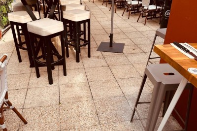 Salle de restaurant lumineuse avec tables en bois, chaises vertes, décorations végétales et comptoir en arrière-plan.