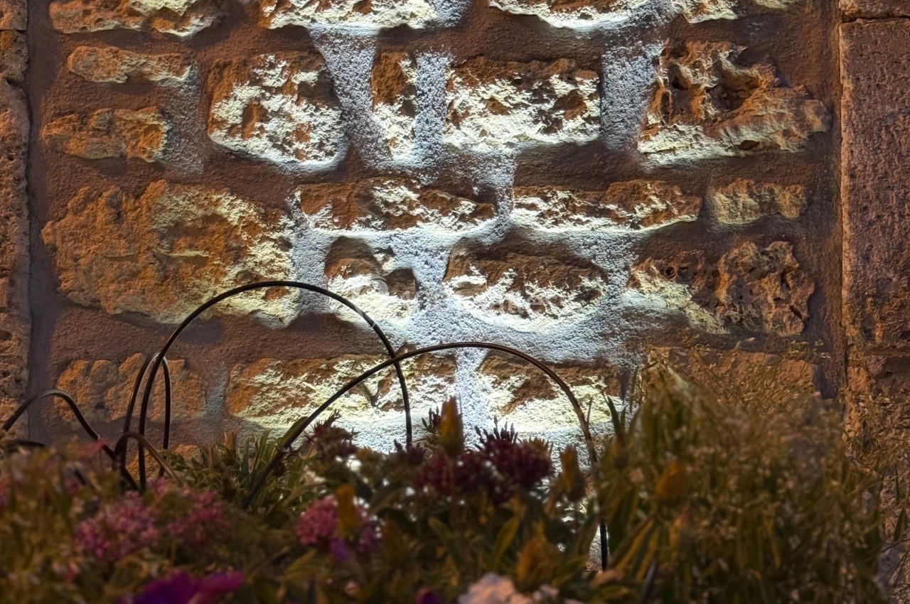 Mur en pierre éclairé par une lumière douce, avec des fleurs et des feuillages au premier plan.
