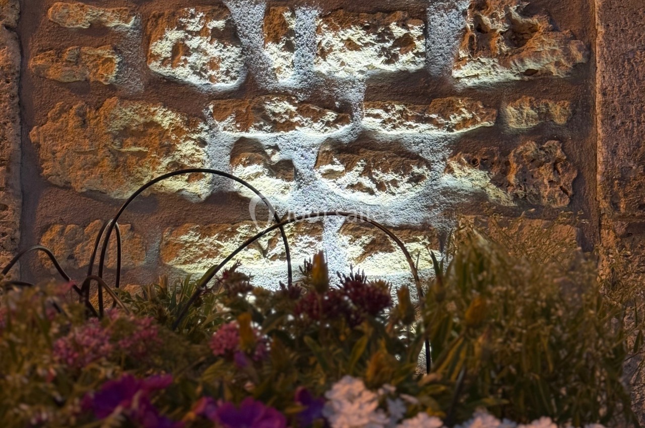 Mur en pierre éclairé par une lumière douce, avec des fleurs colorées au premier plan.