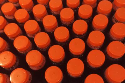 Traiteur Épinal (Vosges) - Cap sur L'Afrique #37