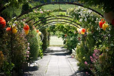 Location salle Pertuis (Vaucluse) - Château Val Joanis #24