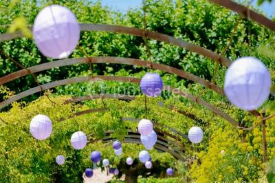 Location salle Pertuis (Vaucluse) - Château Val Joanis #24