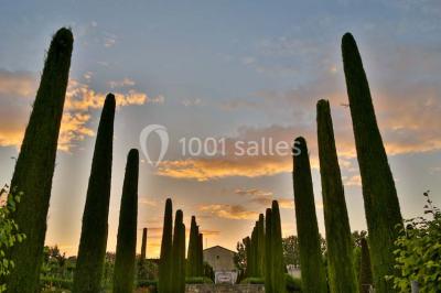 Location salle Pertuis (Vaucluse) - Château Val Joanis #24
