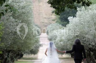 Location salle Pertuis (Vaucluse) - Château Val Joanis #24