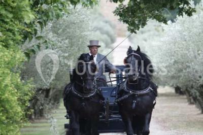Location salle Pertuis (Vaucluse) - Château Val Joanis #24