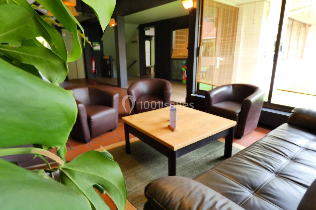 Espace salon avec fauteuils en cuir, table basse en bois et grande plante verte près d'une baie vitrée.