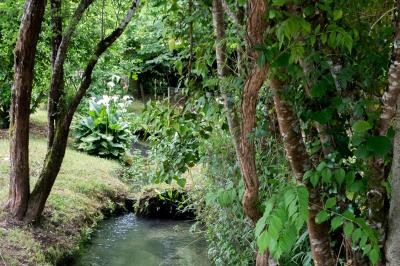 Barbecue en métal rouillé posé sur un socle en pierre, entouré de végétation et de murs en pierre.