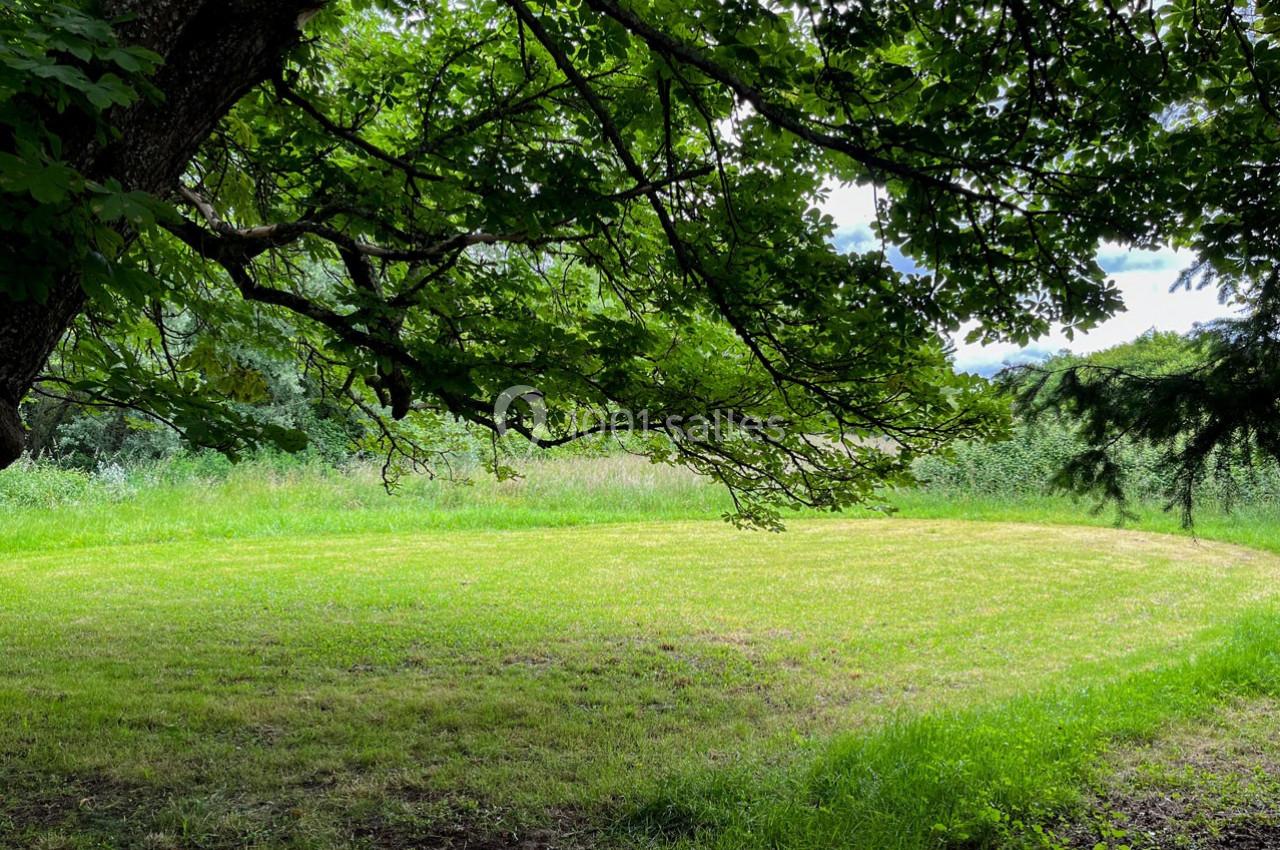 Une clairière verdoyante entourée d'arbres sous un ciel partiellement couvert.