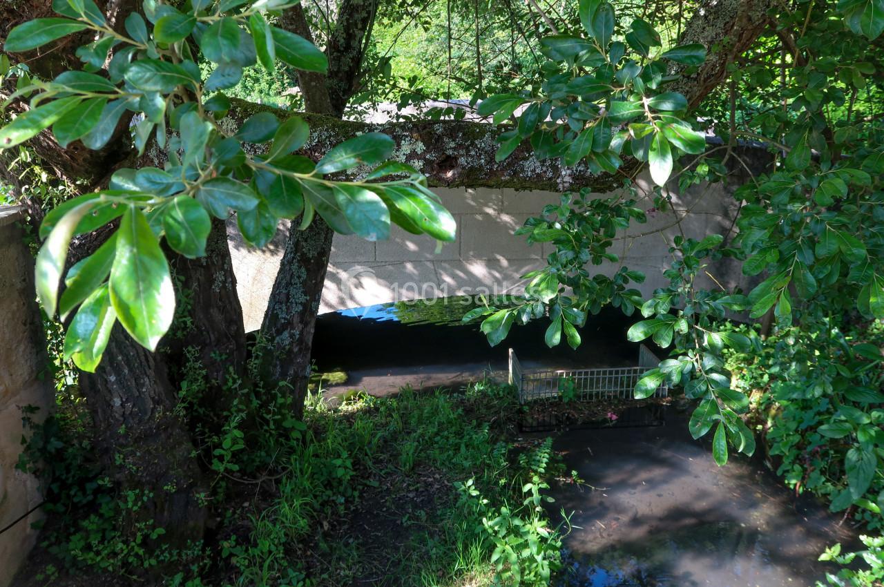 Petit pont en pierre traversant un ruisseau entouré de végétation dense et d'arbres feuillus.