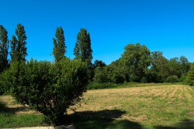 Barbecue en métal rouillé posé sur un socle en pierre, entouré de végétation et de murs en pierre.