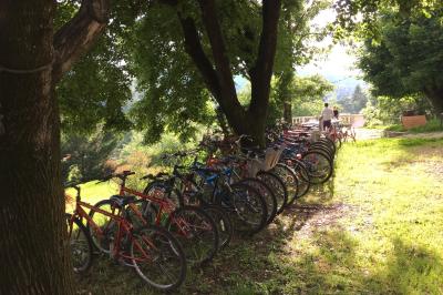 Une rangée de vélos garés sous des arbres dans un espace vert, avec une personne en arrière-plan.